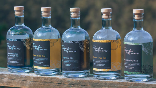 Does Gin Go Off and How to Keep it Fresh?